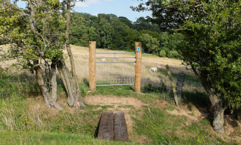 A style overlooking a field of sheep on Great Prawls Farm walk.